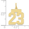 10k Small Satin Number 23 Charm 10k Small Satin Number 23 Charm