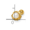 14k 18 Gauge Scallop Shell with Freshwater Cultured Pearl Labret Stud