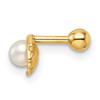 14k 18 Gauge Scallop Shell with Freshwater Cultured Pearl Labret Stud