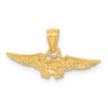 10k US Naval Flight Officer Pendant