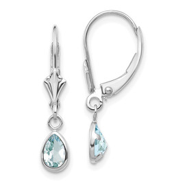 14k White Gold 6x4mm Aquamarine/March Earrings