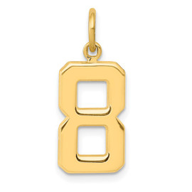 14k Medium Polished Number 8 Charm 14k Medium Polished Number 8 Charm