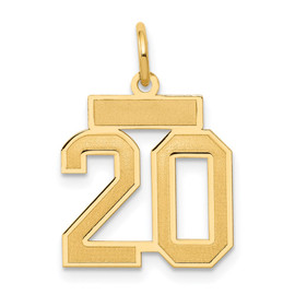 14k Small Satin Number 20 Charm 14k Small Satin Number 20 Charm