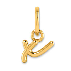 14KY Lower case Letter X Initial Charm
