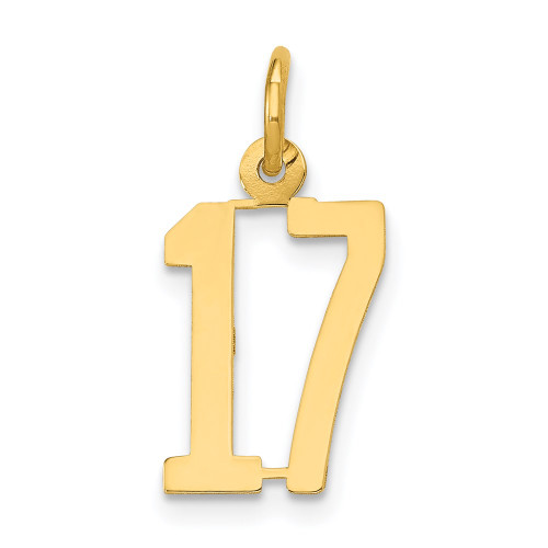 14k Small Elongated Number 17 Charm 14k Small Elongated Number 17 Charm