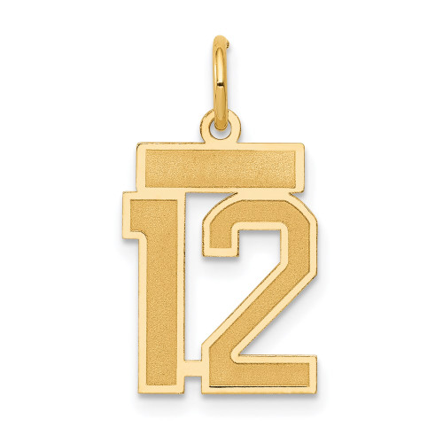 14k Small Satin Number 12 Charm 14k Small Satin Number 12 Charm
