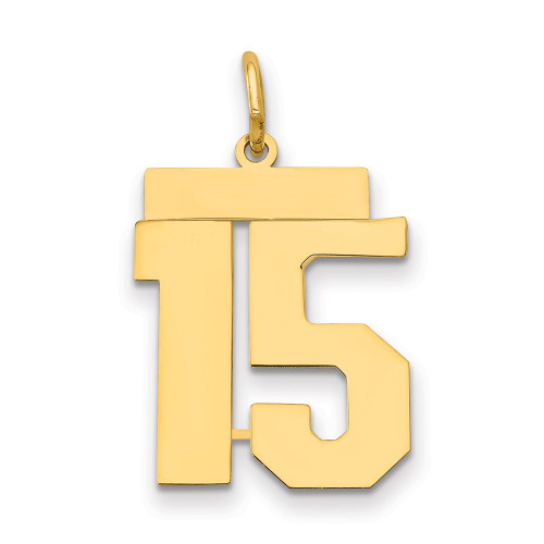 14k Medium Polished Number 15 Charm 14k Medium Polished Number 15 Charm
