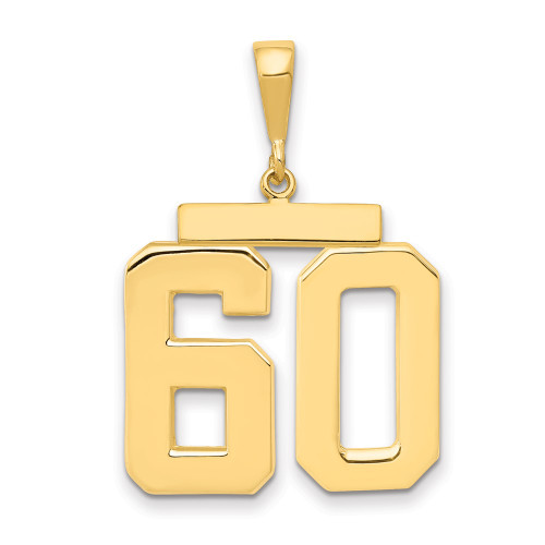 14k Large Polished Number 60 Charm 14k Large Polished Number 60 Charm