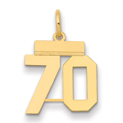 14k Small Polished Number 70 Charm