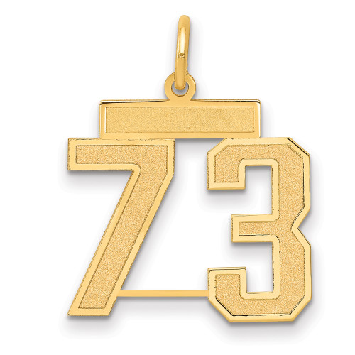 14k Medium Satin Number 73 Charm