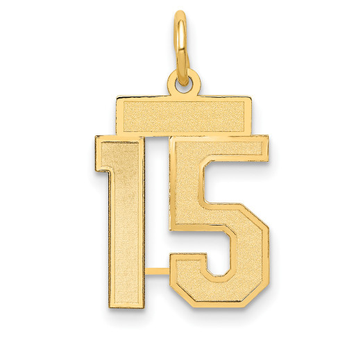 14k Small Satin Number 15 Charm 14k Small Satin Number 15 Charm