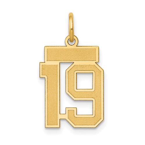 14k Small Satin Number 19 Charm 14k Small Satin Number 19 Charm