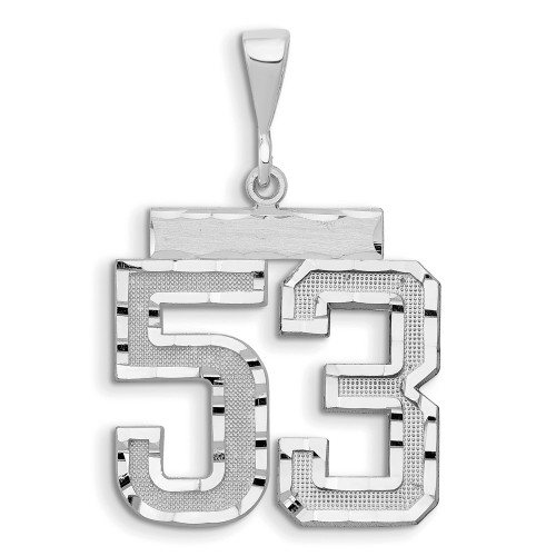 14kw Small Brushed Diamond-cut Number 53 Charm