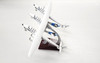 VG2002 | Miscellaneous 1:200 | Virgin Galactic Spaceship N342MS new livery