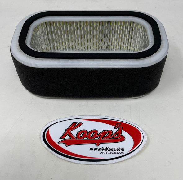 Kawasaki Air Filter Element (110292016)