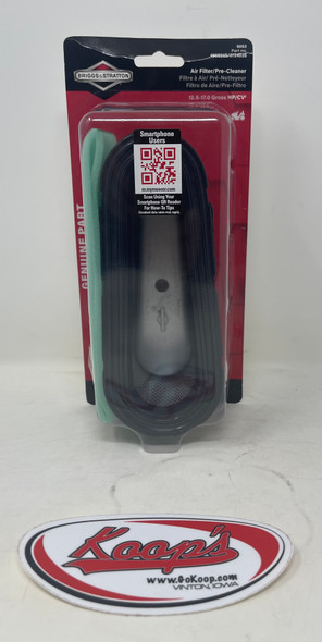 Briggs & Stratton Air Filter Combo 5053K Contains 496894S, 272403SS