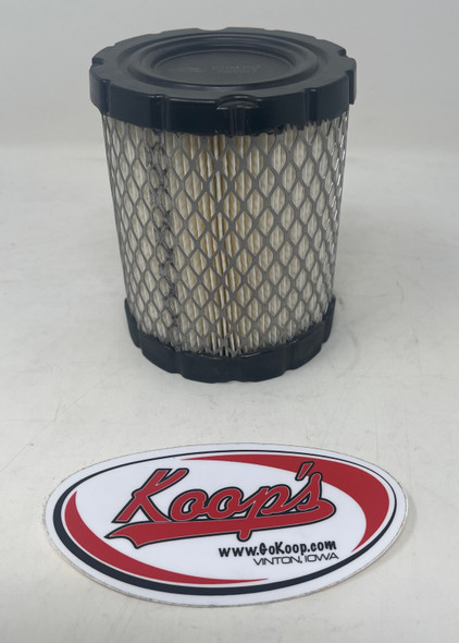 Briggs & Stratton Air Cleaner Cartridge Filter (798897), 798897