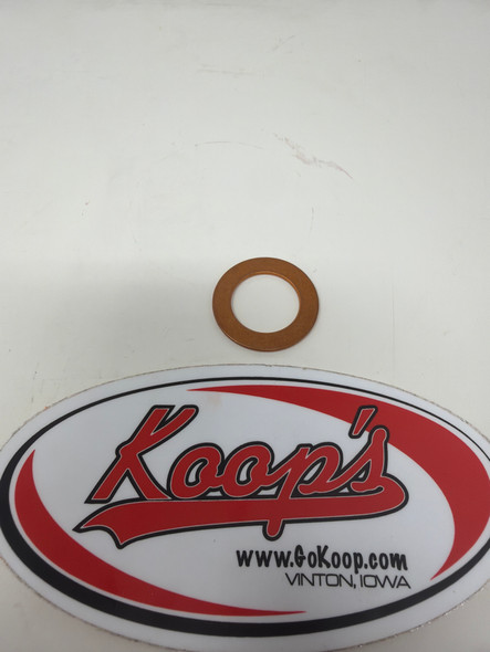 LS Tractor Plug Seal (40229916)