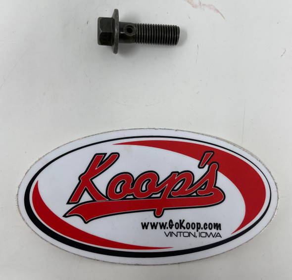 Hisun Banjo Bolt (M10X1.25X30) (P004000153020000), P004000153020000