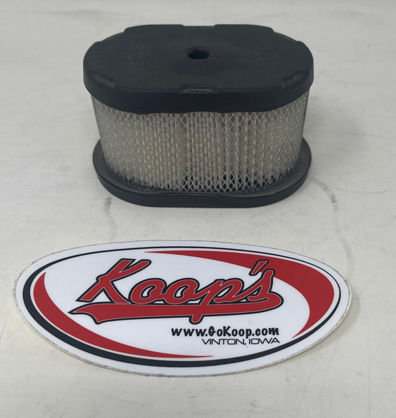 Briggs & Stratton Air Filter Cartridge (497725S), 497725S