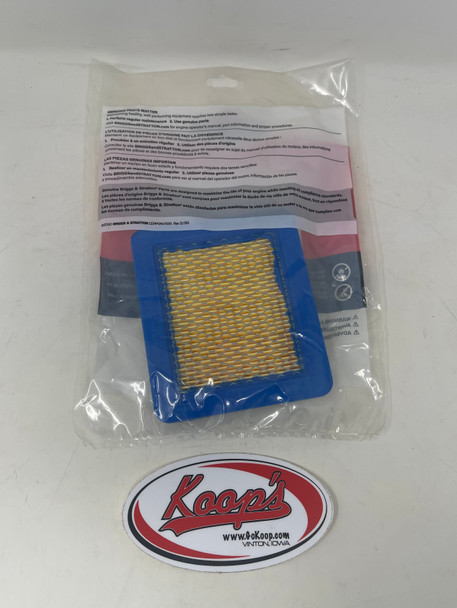 Briggs & Stratton Filter Air Cleaner Cartridge (595030), 595030