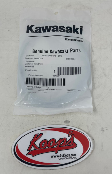 Kawasaki Engine Harness (260317034), 260317034