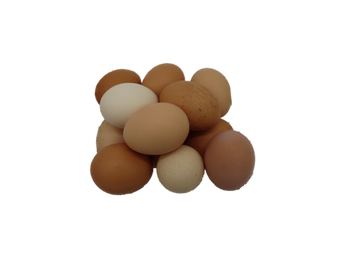 Farm Fresh Eggs