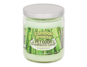 Bamboo Breeze - Jar Candle