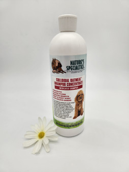 Colloidal Oatmeal Medicated Shampoo