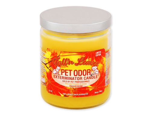 Fall' n Leaves - Jar Candle