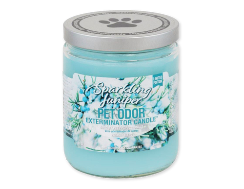 Sparkling Juniper - Jar Candle