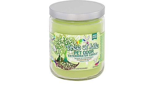 Tree Of Life - Jar Candle