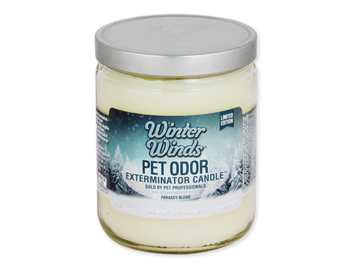 Winter Winds - Jar Candle