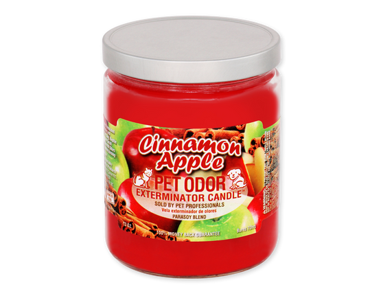 Cinnamon Apple - Jar Candle