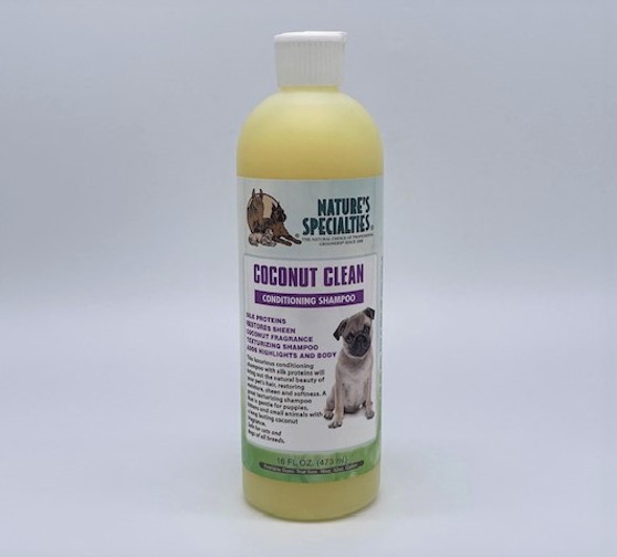 Coconut Clean Shampoo