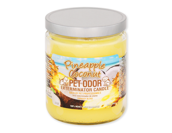 Pineapple Coconut - Jar Candle