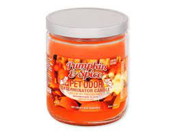 Pumpkin & Spice - Jar Candle