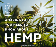 8 Amazing Facts You Need To Know About Hemp