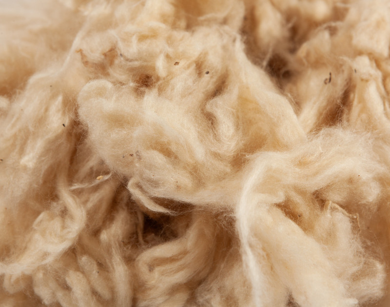 Close-up on the fluffy fibrous contents of our adjustable Kapok fill.