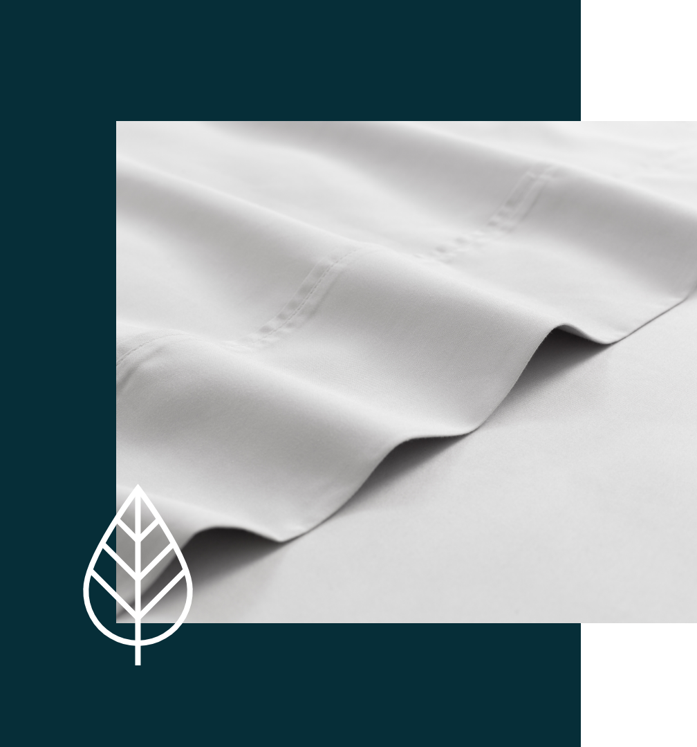 Eucalyptus Luxe.