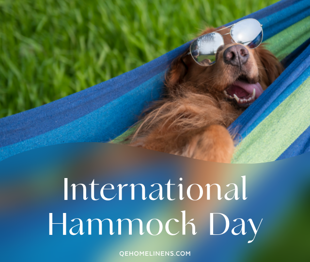 International Hammock Day: The Science and Joy of Outdoor Naps
