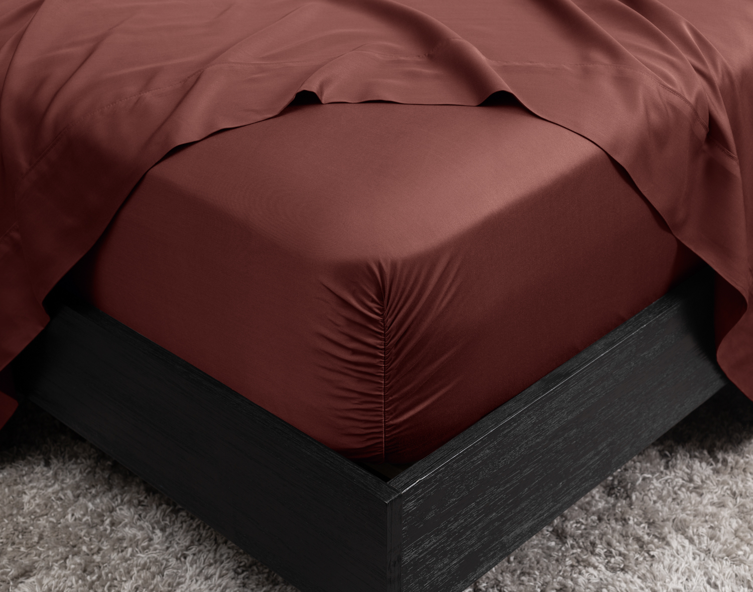 350TC BeechBliss TENCEL Modal TENCEL Modal Fitted Sheet