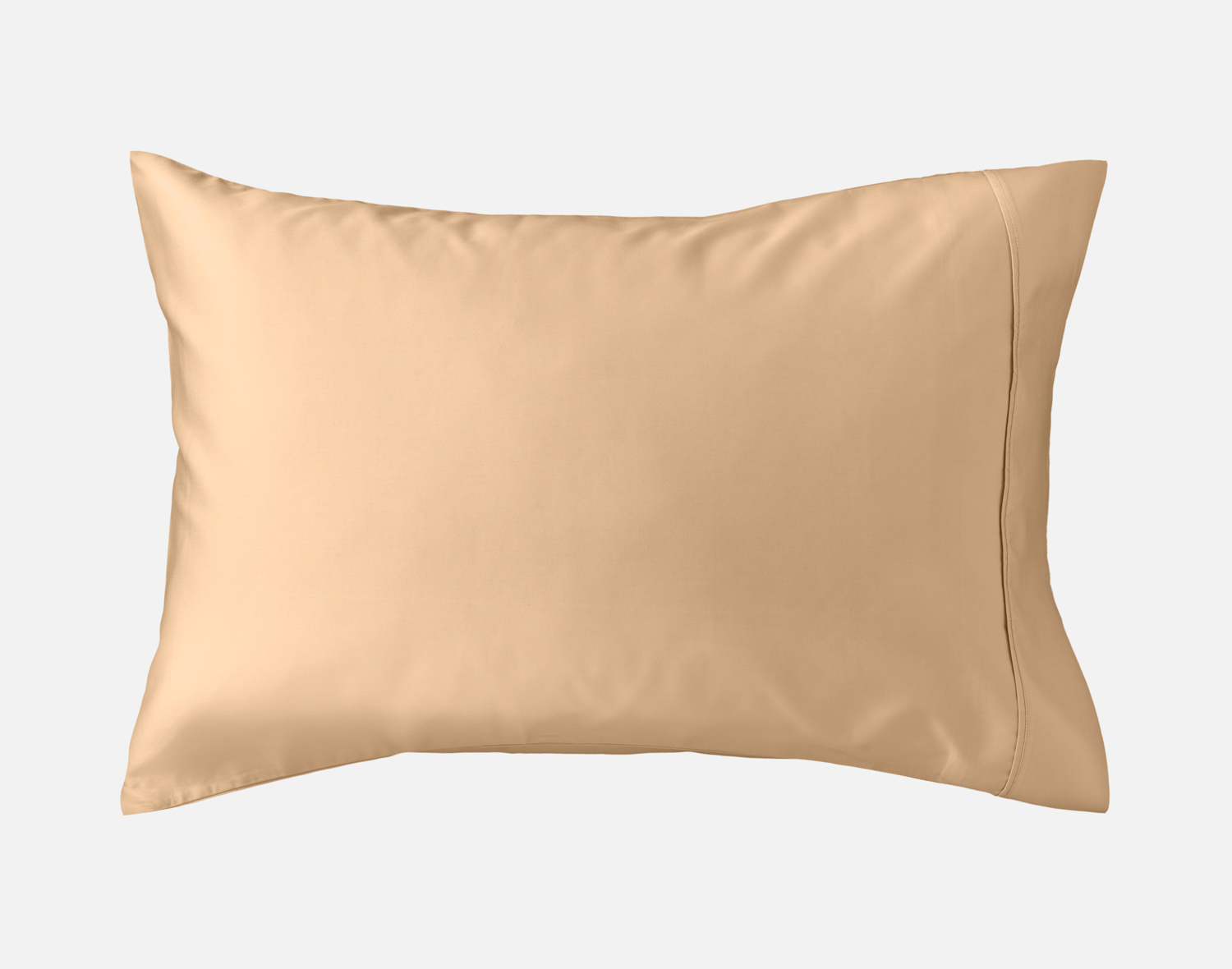 500TC Eucalyptus Luxe TENCEL Lyocell Pillowcases