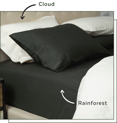 Our BeechBliss TENCEL™ Modal Sheets in Cloud White and Rainforest Green decorating a bed.