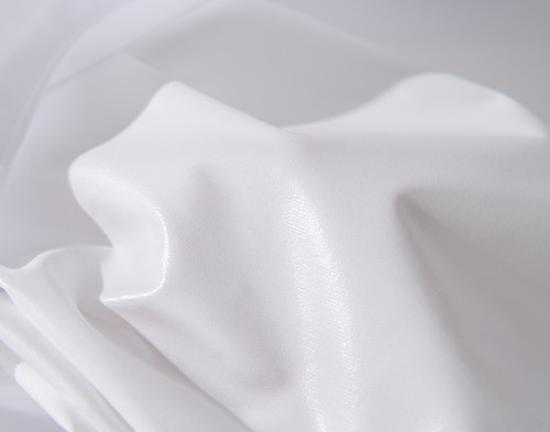Sleep Shield Anti Bed Bug Pillow Protector, OEKO-TEX Certified,