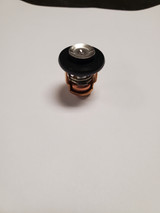 Yamaha Thermostat for Smaller Outboards | 66M-12411-01-00