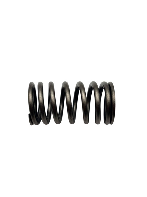 Yamaha Spring, Valve Inner | 6CB-12113-00-00