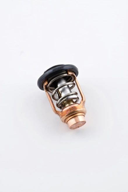 Yamaha Thermostat | 6CB-12411-10-00