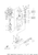 Yamaha Key, Woodruff (697) | 90280-03M03-00