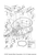 Yamaha Clamp | 90462-20001-00
